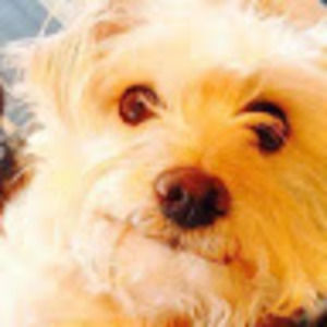 Meet your Posher, Leticia